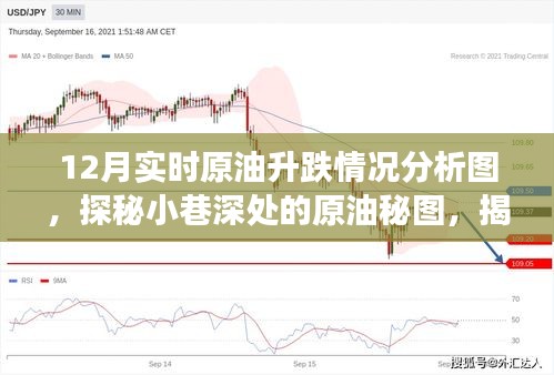 揭秘十二月原油升跌背后的故事，小巷深处的实时原油秘图分析图