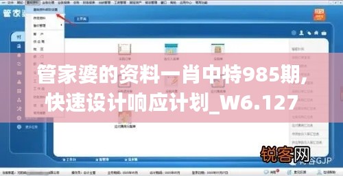 管家婆的资料一肖中特985期,快速设计响应计划_W6.127