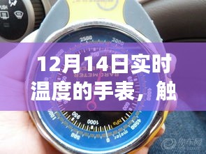 12月14日实时温度手表，触摸自然脉搏的心灵之旅