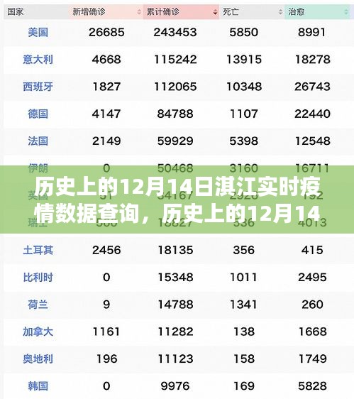 历史上的12月14日淇江实时疫情数据详解与查询指南，初学者与进阶用户指南