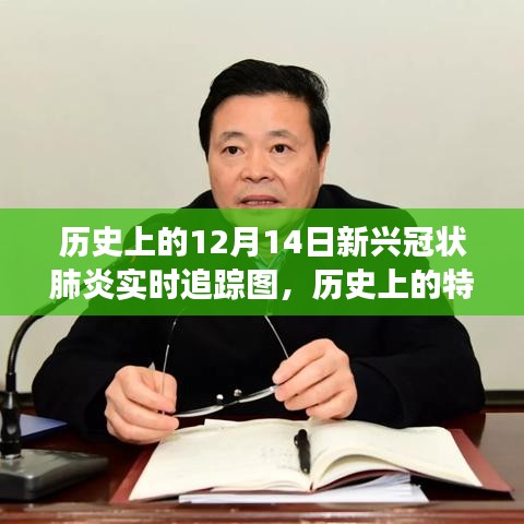 历史上的特殊日期，探寻十二月十四日新兴冠状肺炎实时追踪图的脉络与影响