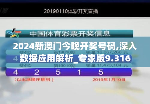 2024新澳门今晚开奖号码,深入数据应用解析_专家版9.316