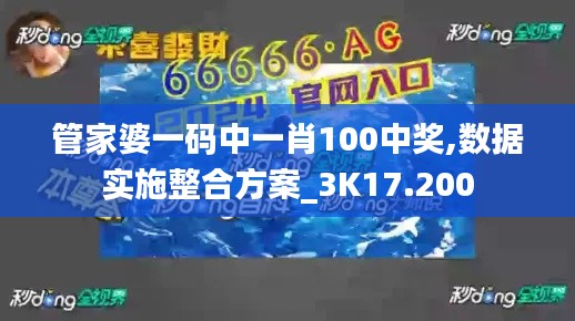 管家婆一码中一肖100中奖,数据实施整合方案_3K17.200