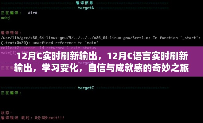 12月C语言实时刷新输出，学习变化与自信成就感的探索之旅