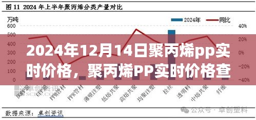 2024年12月14日聚丙烯PP实时价格查询指南，轻松获取最新价格信息