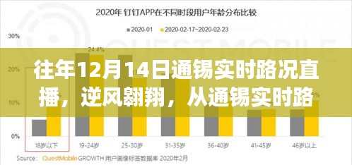 逆风翱翔的力量，通锡实时路况直播下的学习与变化启示