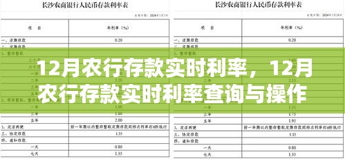 12月农行存款实时利率详解，查询方法与操作指南