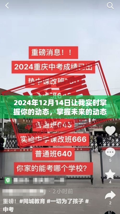 揭秘精准掌握未来动态，掌握2024年12月14日动态信息的秘诀