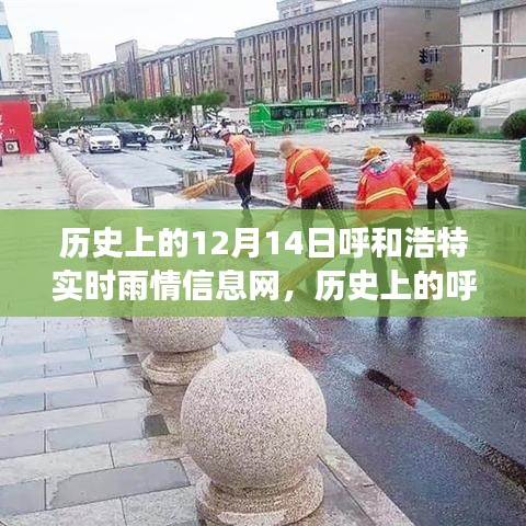 揭秘呼和浩特历史雨情变迁，十二月十四日实时雨情信息网回顾