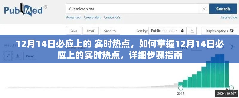 掌握最新热点，详细步骤指南在必应上追踪实时热点（12月14日更新）