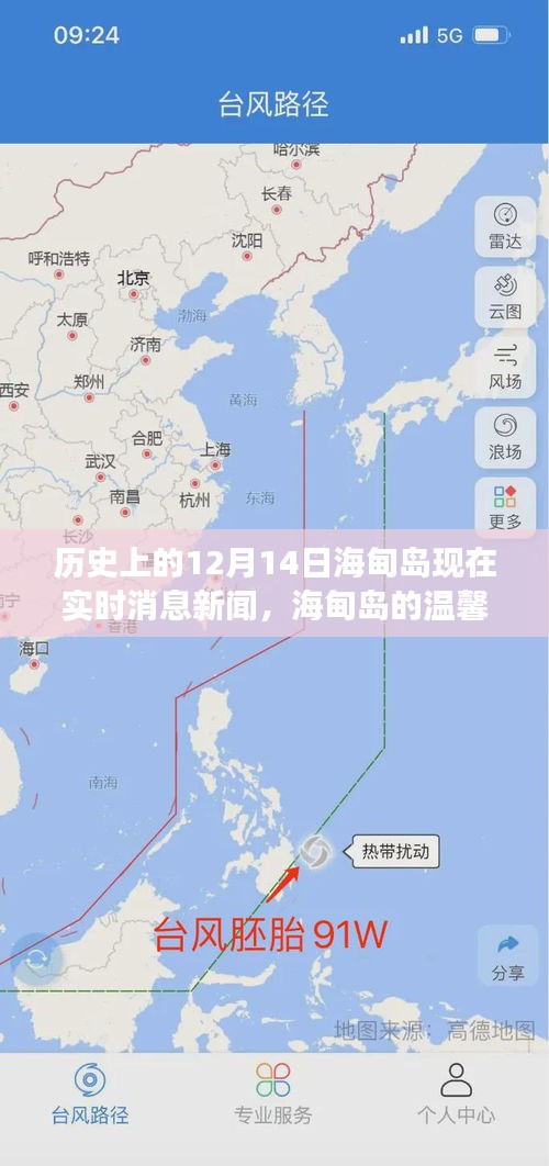 海甸岛的温馨日常，历史回顾与实时新闻，爱与陪伴的12月14日故事