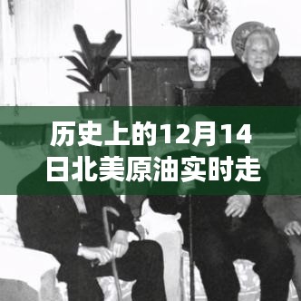 2024年12月17日 第7页