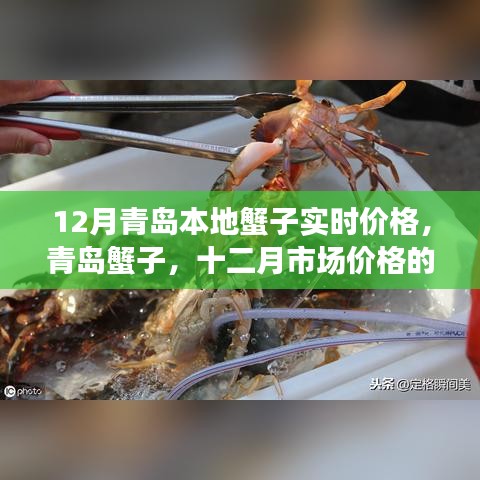 青岛蟹子深度解析，十二月实时市场价格与深度市场分析