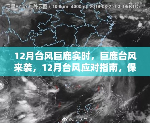 12月台风巨鹿来袭，应对指南与实时动态，共同保护你我他