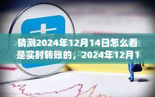 2024年12月14日实时转账洞察与预测，趋势、方法及可能变化