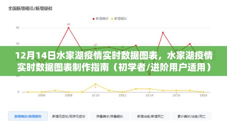 水家湖疫情实时数据图表制作指南与最新数据（初学者与进阶用户适用）