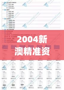 2004新澳精准资料免费,定量分析解释定义_vShop7.474