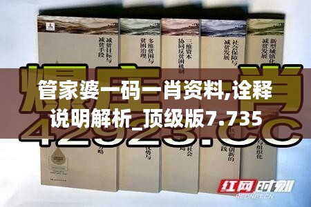 管家婆一码一肖资料,诠释说明解析_顶级版7.735