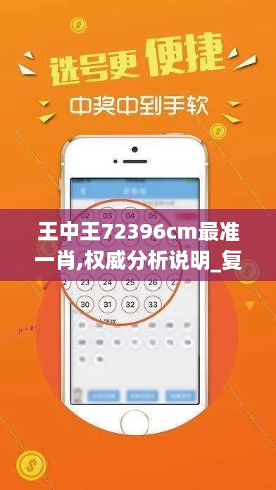 王中王72396cm最准一肖,权威分析说明_复刻版19.915