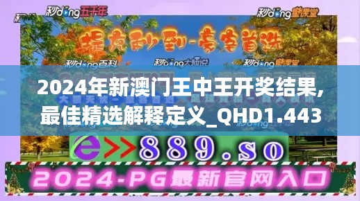 2024年新澳门王中王开奖结果,最佳精选解释定义_QHD1.443