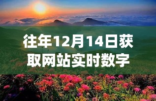 探索自然美景之旅，在寂静中找寻内心的平和与力量——历年网站实时数字记录分享