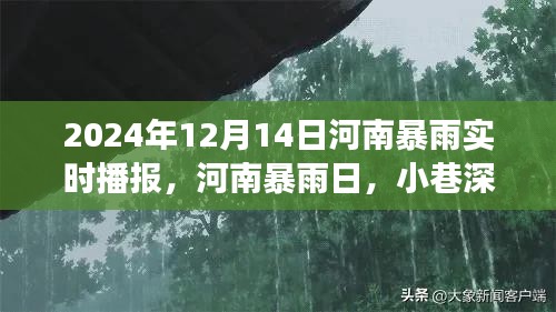 河南暴雨中的美食探索，小巷深处的味觉奇遇，暴雨日的美食纪实（XXXX年XX月XX日）