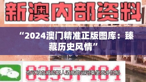 “2024澳门精准正版图库：臻藏历史风情”