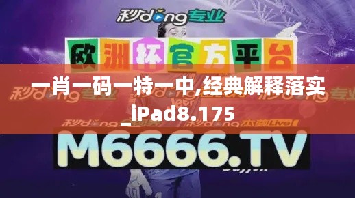 一肖一码一特一中,经典解释落实_iPad8.175