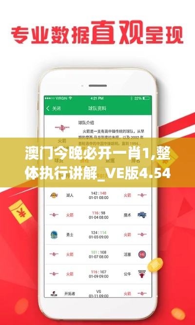 澳门今晚必开一肖1,整体执行讲解_VE版4.541