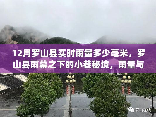 罗山县雨幕之下，实时雨量与小巷秘境的美味奇遇