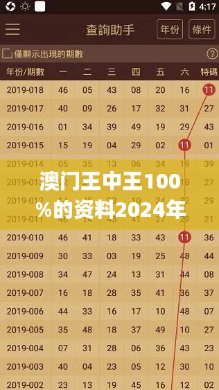 澳门王中王100%的资料2024年,效率资料解释落实_体验版4.847