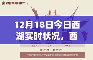 西湖之韵，学习力量与自信的绽放实时观察（12月18日）