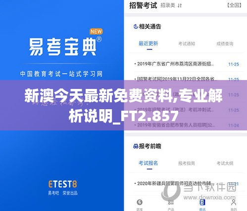 新澳今天最新免费资料,专业解析说明_FT2.857