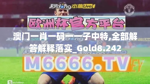 澳门一肖一码一一子中特,全部解答解释落实_Gold8.242