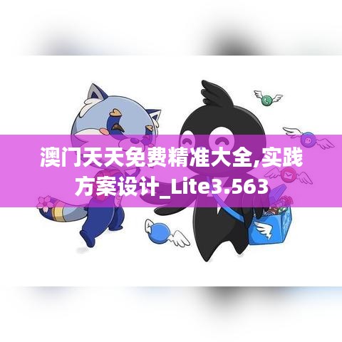 澳门天天免费精准大全,实践方案设计_Lite3.563