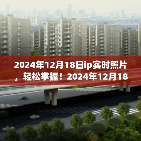 2024年12月18日IP实时照片操作指南，从入门到进阶，轻松掌握