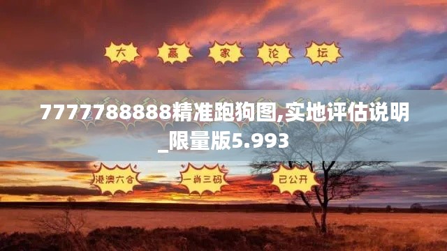 7777788888精准跑狗图,实地评估说明_限量版5.993