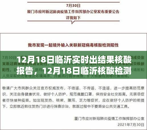 临沂核酸检测报告实时查询，最新进展与便捷服务解析（12月18日更新）