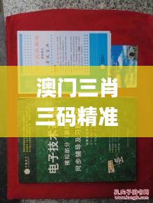 澳门三肖三码精准100%黄大仙,最新解答方案_模拟版1.419