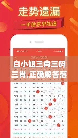 白小姐三肖三码三肖,正确解答落实_AR4.960