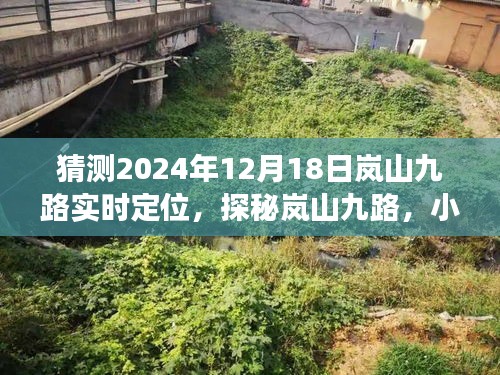 探秘岚山九路，特色小店一览与未来味蕾之旅预测（2024年12月18日实时定位）