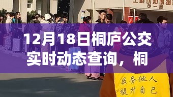 桐庐公交暖心之旅，实时动态查询与意外惊喜的相遇