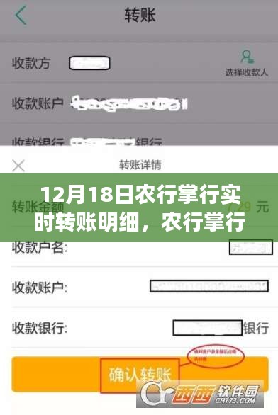 农行掌行实时转账明细查询指南，初学者与进阶用户的操作步骤解析