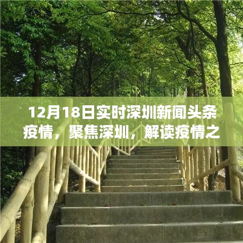 深圳疫情动态，新闻头条解读下的观点碰撞与抗疫进展