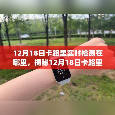 揭秘健康科技三大热点，探寻12月18日卡路里实时检测的新去处