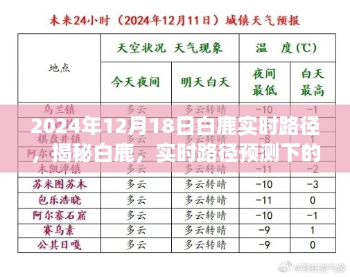 揭秘白鹿奇幻之旅，实时路径预测下的神秘探索（2024年12月18日）