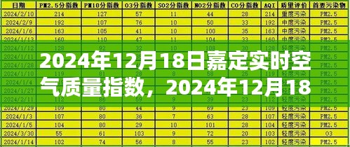 2024年12月18日嘉定空气质量评测，指数、特性、体验与用户群体分析