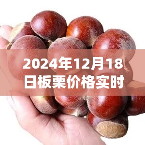 2024年12月18日板栗价格实时报价全指南，适合初学者与进阶用户参考