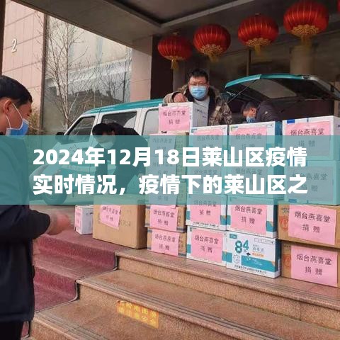 莱山区疫情下的自然美景与心灵之旅，实时情况与自我发现（2024年12月18日）