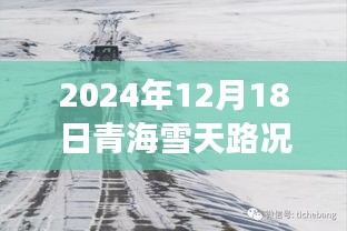 青海雪舞路况实时查询，暖心之旅在雪天启动